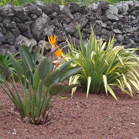 Casa Da Vigia Apartament *