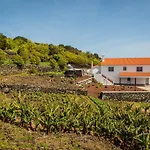 Casa Da Vigia アパート Calheta de Nesquim