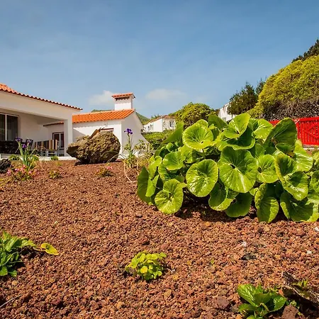 Casa Da Vigia *