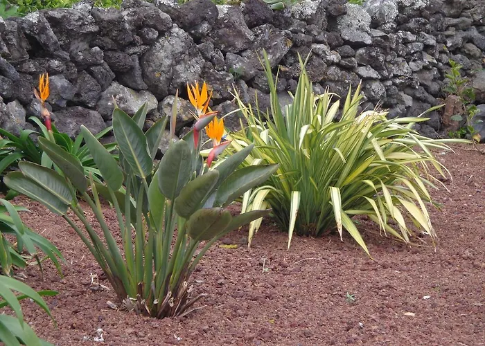 Casa Da Vigia דירה *